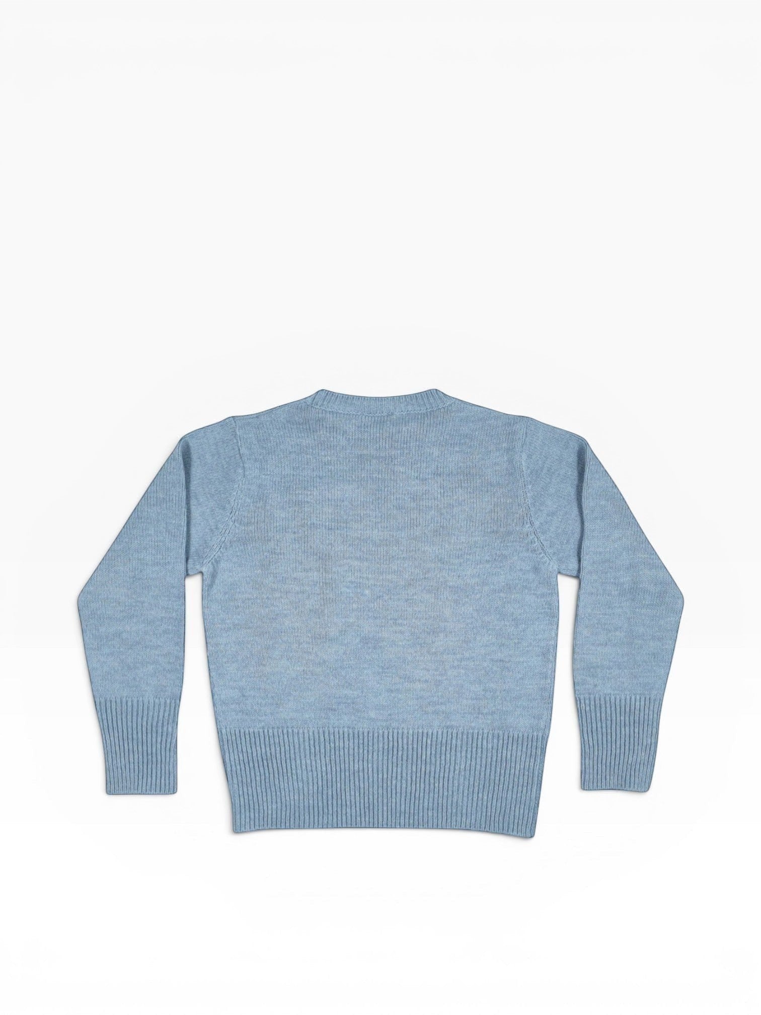 BubiniSegreti Damen-Strickpullover in sanftem Blau mit gerippten Bündchen und klassischem Schnitt, Rückansicht